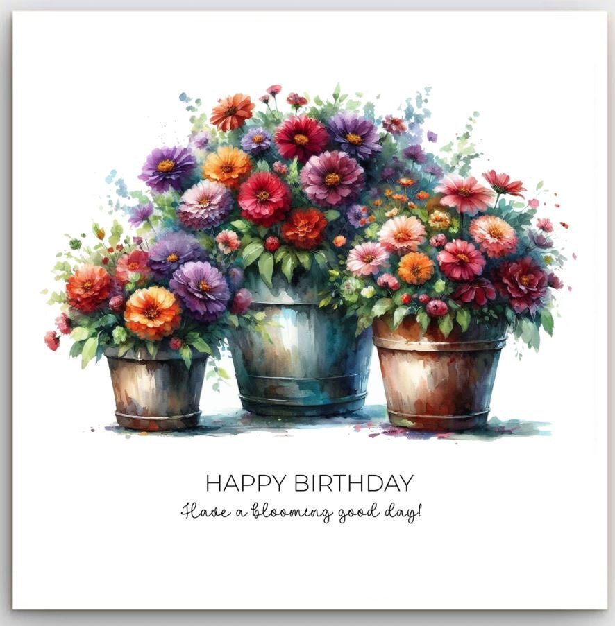 Greeting Card -Potted Flowers | Basically Paper | Greeting Cards | Thirty 16 Williamstown
