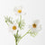 Cosmos Spray - White | Floral Interiors | Decorator | Thirty 16 Williamstown