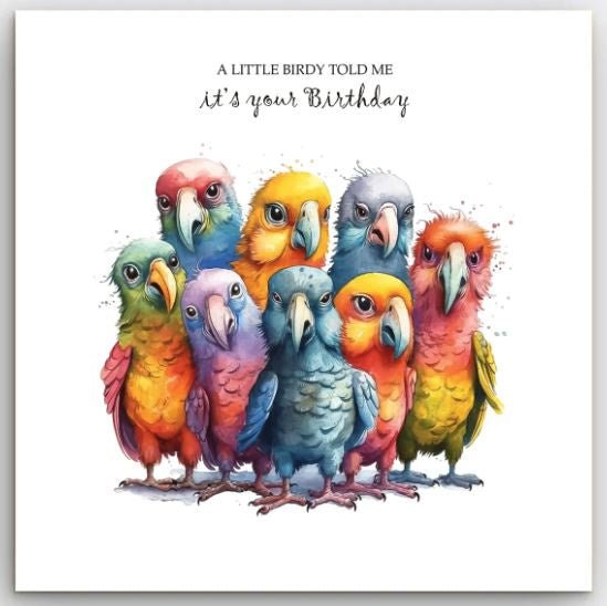 Greeting Card - Birdy | Basically Paper | Greeting Cards | Thirty 16 Williamstown