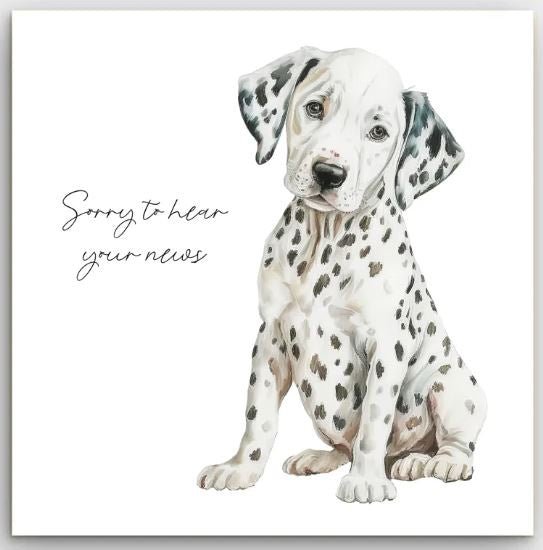 Greeting Card - Dalmatian | Basically Paper | Greeting Cards | Thirty 16 Williamstown