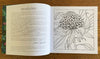 WILD AUSTRALIA Colouring Book of Native Australian Plants Volume 2 | Lorraine Brownlee Designs | Stationery | Thirty 16 Williamstown