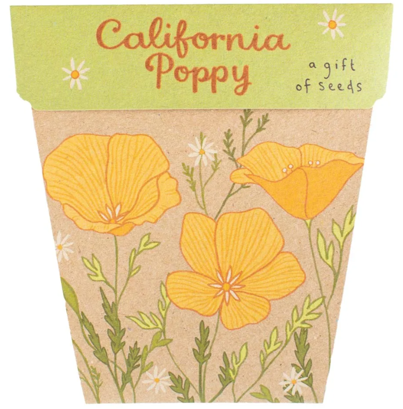 Gift of Seeds Card - California Poppy