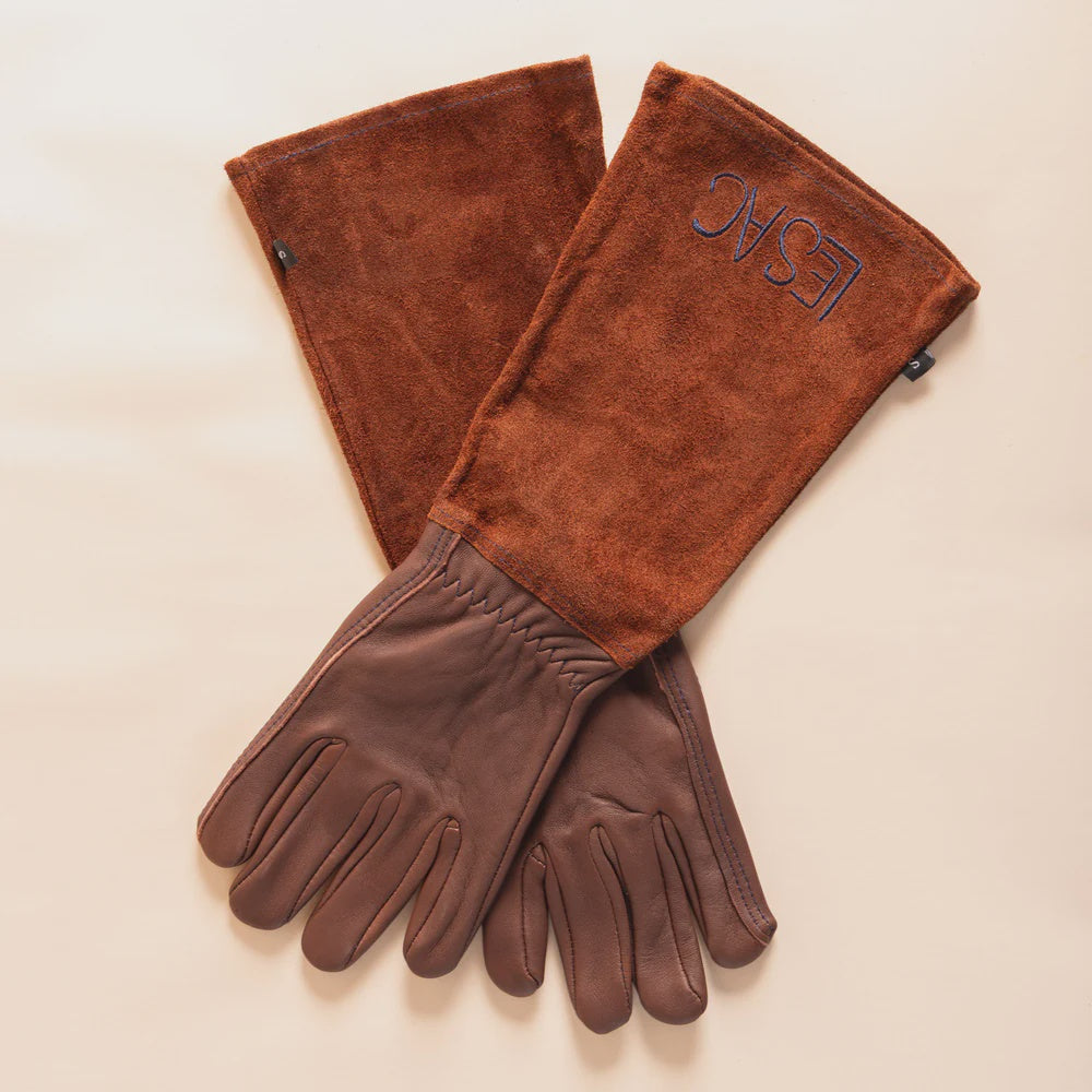 Thorn Proof Gloves