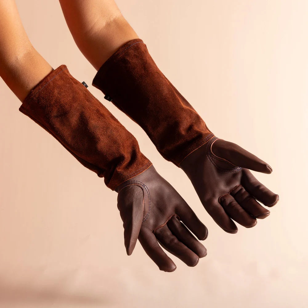 Thorn Proof Gloves