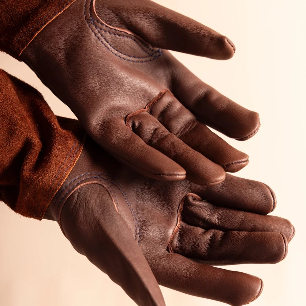 Thorn Proof Gloves