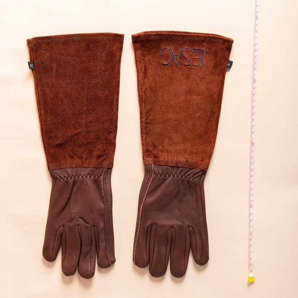 Thorn Proof Gloves