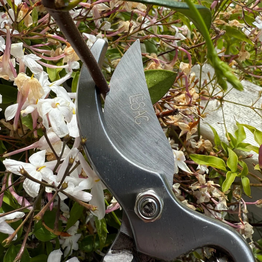 Premium Wooden + Steel Secateurs