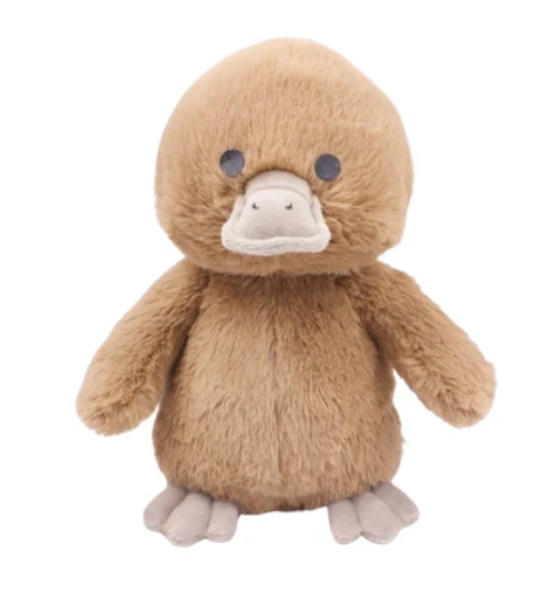 River the Platypus