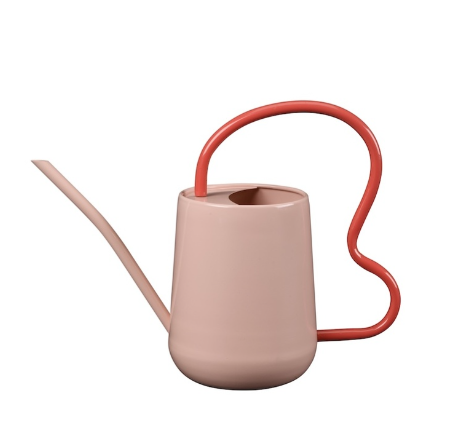 Collector Scalloped Indoor Watering Can