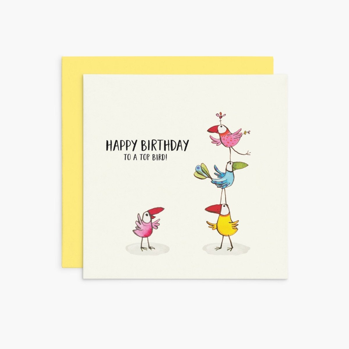 Birthday Card - Happy Birthday to a top bird! | Twigseeds | Cards/Gift Wrap | Thirty 16 Williamstown