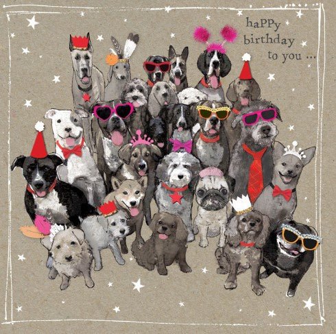 Birthday - Dogs | Hammond Gower | Greeting Cards | Thirty 16 Williamstown