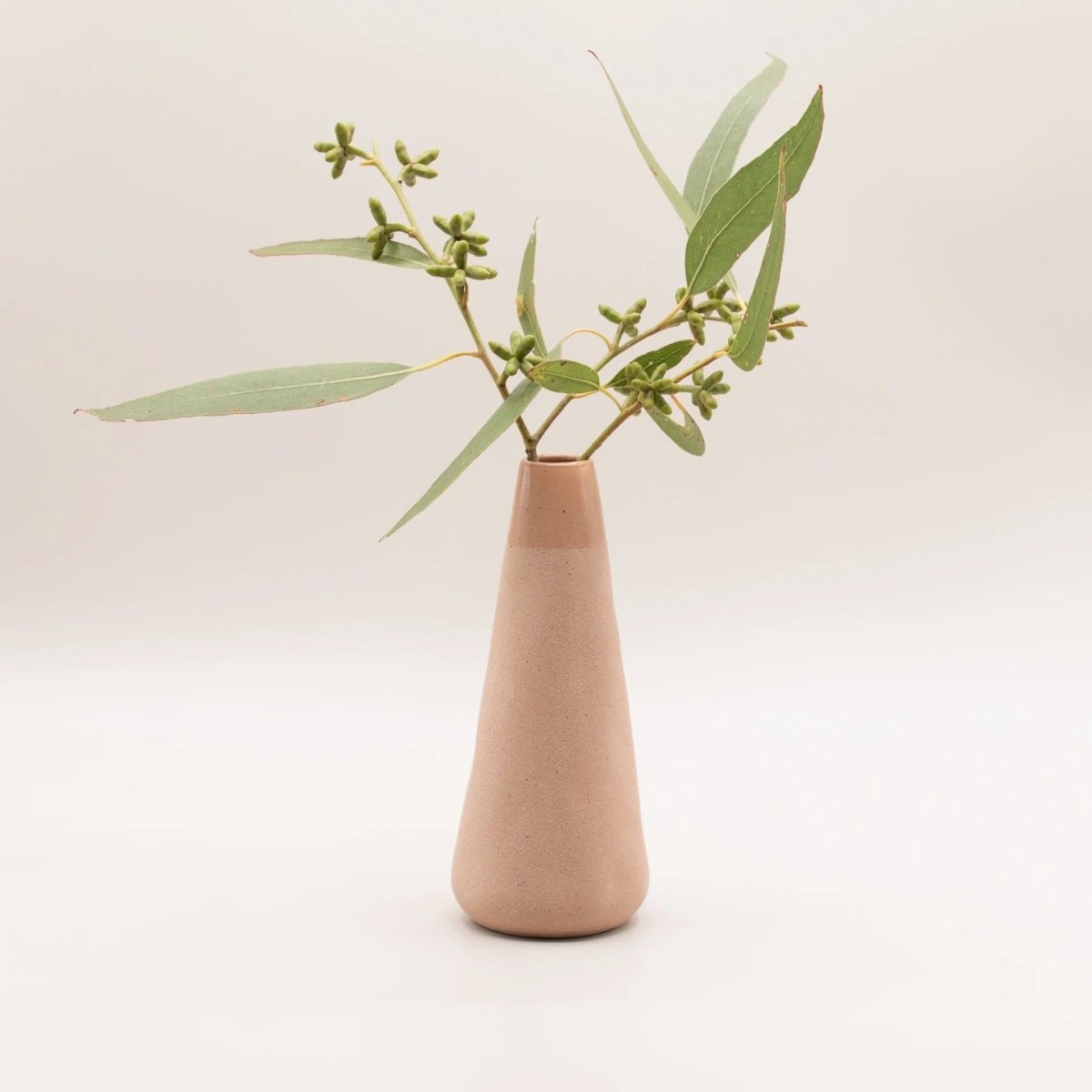 Botanical Diffuser - FLUME Flowering Gum, Eucalyptus &amp; Lemon Scented Tea Tree | Myrtle &amp; Moss | Home Fragrances | Thirty 16 Williamstown