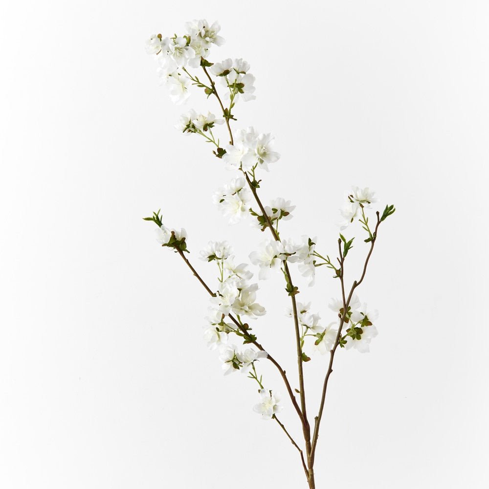Cherry Blossom - White | Floral Interiors | Decorator | Thirty 16 Williamstown