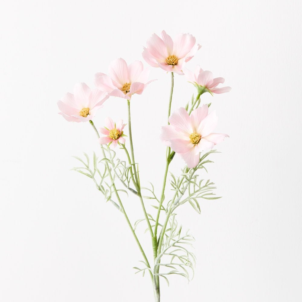Cosmos Spray - Light Pink | Floral Interiors | Decorator | Thirty 16 Williamstown