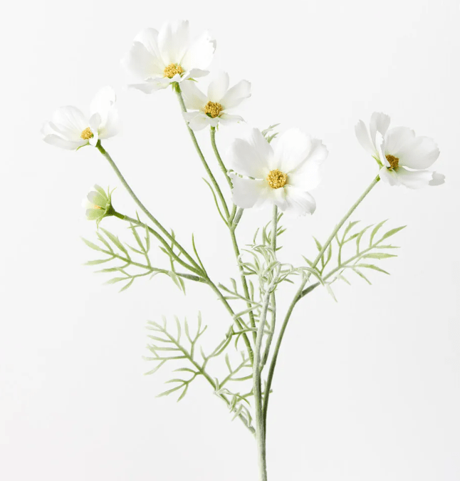Cosmos Spray - White 62cml | Floral Interiors | Decorator | Thirty 16 Williamstown