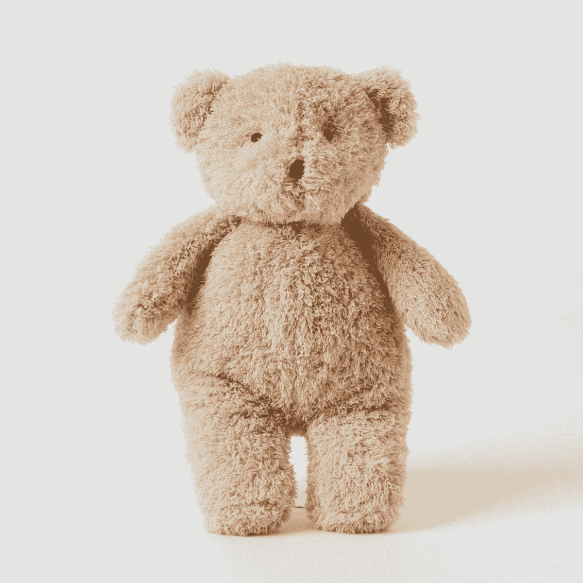 Cuddly Cream Bear | Jiggle &amp; Giggle | Toys | Thirty 16 Williamstown