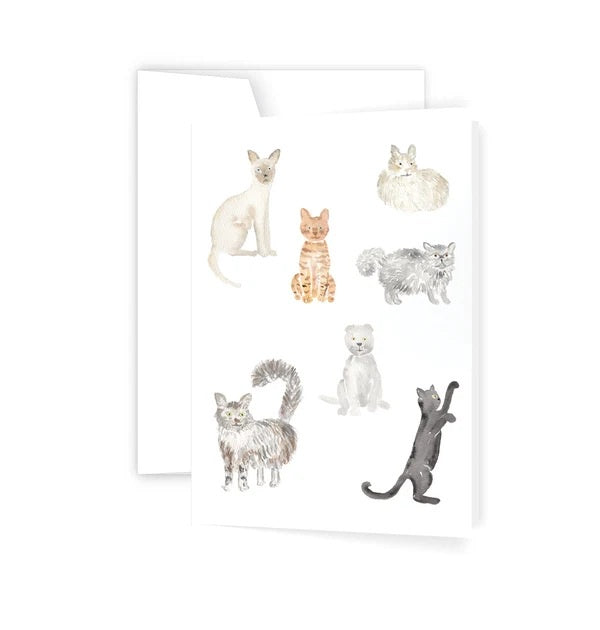 Greeting Card - Kitties