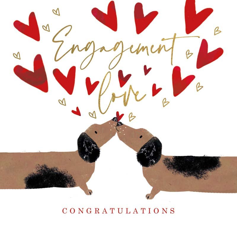 Engagement - Kissing Dogs | Hammond Gower | Engagement | Thirty 16 Williamstown