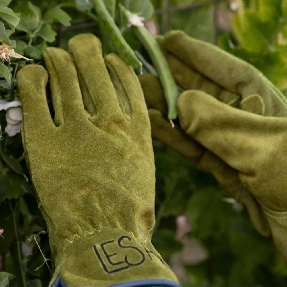 Everyday Gardening Gloves - Olive Green | LeSac | Gloves, Aprons, Kneelers &amp; Tools | Thirty 16 Williamstown