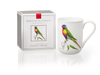 Fine Bone China Cup - Rainbow Lorikeet | Jeremy Boot Collections | Mugs &amp; Cups | Thirty 16 Williamstown