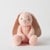 Floral Peach Bunny Plush Toy | Jiggle & Giggle | Toys | Thirty 16 Williamstown