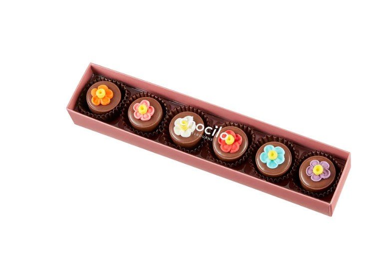 Flower Pot Praline Milk Chocolates Gift Box 6 Pack - 75g | Chocilo | Confectionery | Thirty 16 Williamstown