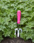 Fluorescent Hand Fork - Pink | Burgon & Ball | Gloves, Aprons, Kneelers & Tools | Thirty 16 Williamstown