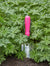 Fluorescent Hand Trowel - Pink | Burgon & Ball | Gloves, Aprons, Kneelers & Tools | Thirty 16 Williamstown