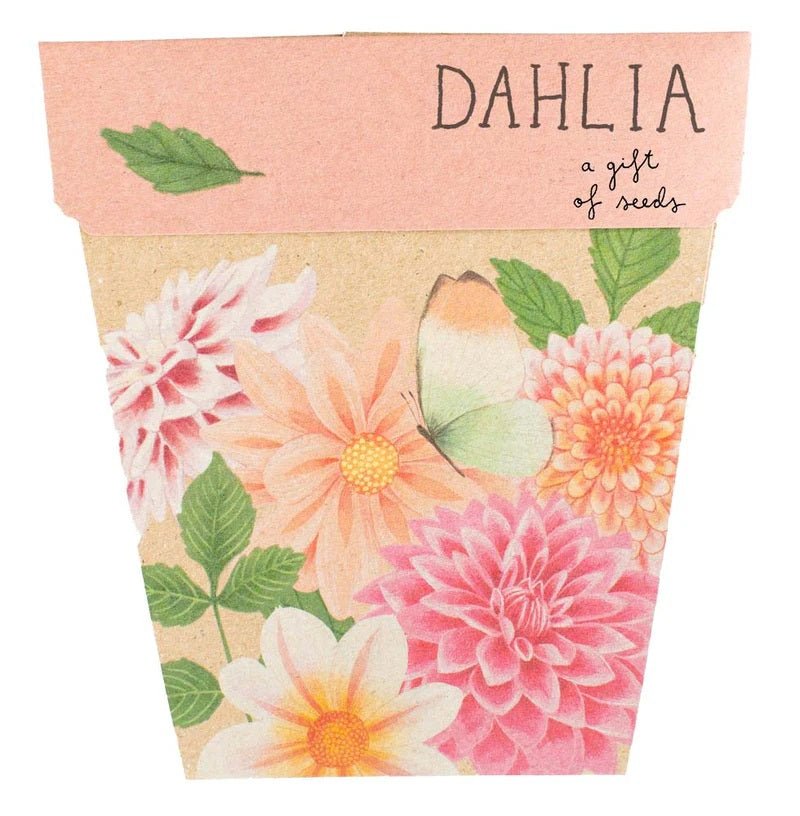 Gift of Seeds Card - Dahlia | Sow 'n Sow | Cards/Gift Wrap | Thirty 16 Williamstown