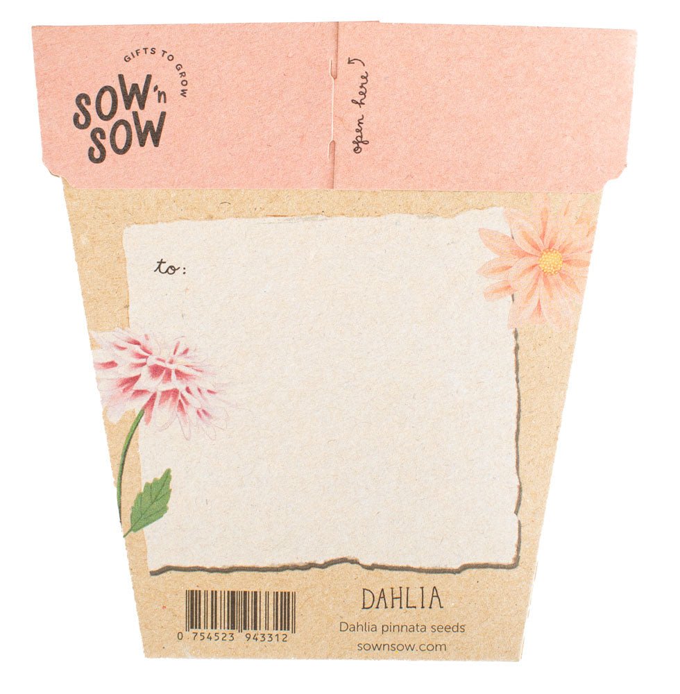 Gift of Seeds Card - Dahlia | Sow 'n Sow | Home Garden | Thirty 16 Williamstown