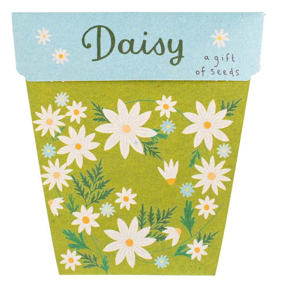 Gift of Seeds Card - Daisy | Sow 'n Sow | Home Garden | Thirty 16 Williamstown
