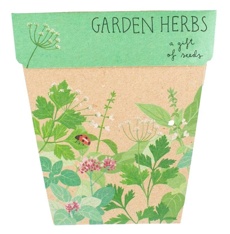 Gift of Seeds Card - Garden Herbs | Sow 'n Sow | Cards/Gift Wrap | Thirty 16 Williamstown