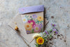 Gift of Seeds Card - Native Daisies | Sow &#39;n Sow | Home Garden | Thirty 16 Williamstown