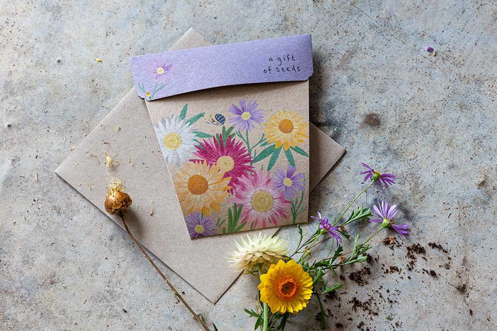 Gift of Seeds Card - Native Daisies | Sow &#39;n Sow | Home Garden | Thirty 16 Williamstown