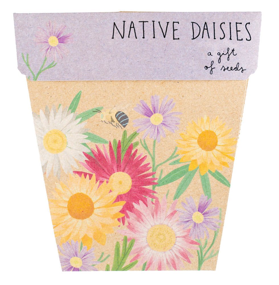 Gift of Seeds Card - Native Daisies | Sow 'n Sow | Home Garden | Thirty 16 Williamstown