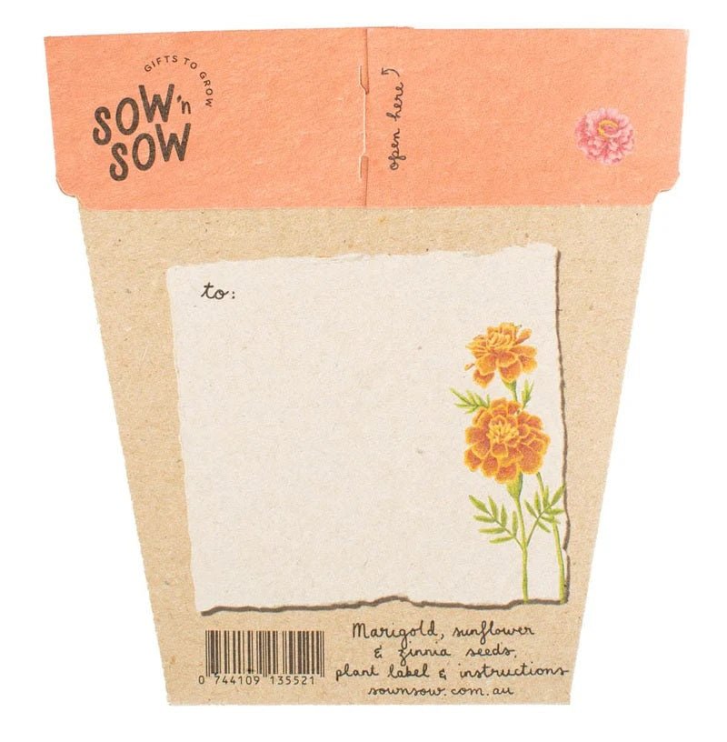 Gift of Seeds Card - Secret Garden | Sow 'n Sow | Cards/Gift Wrap | Thirty 16 Williamstown