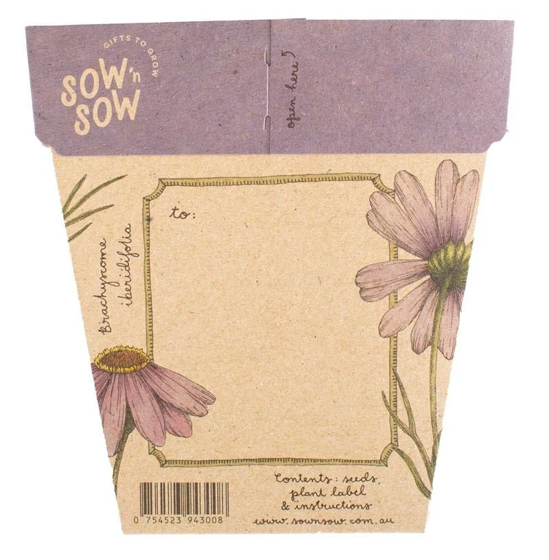 Gift of Seeds Card - Swan River Daisy | Sow 'n Sow | Cards/Gift Wrap | Thirty 16 Williamstown