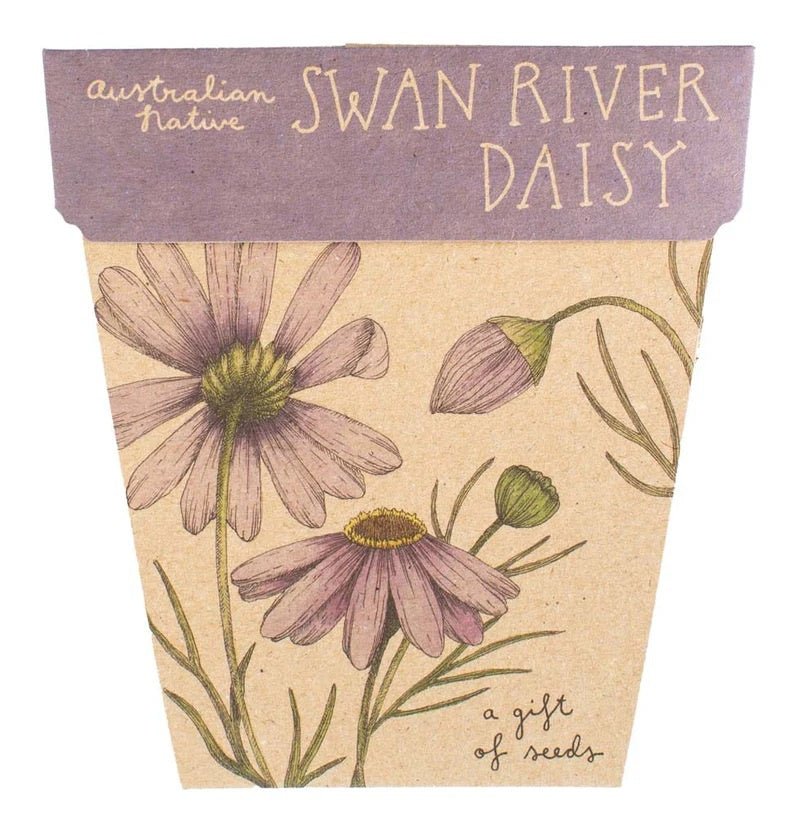 Gift of Seeds Card - Swan River Daisy | Sow 'n Sow | Cards/Gift Wrap | Thirty 16 Williamstown