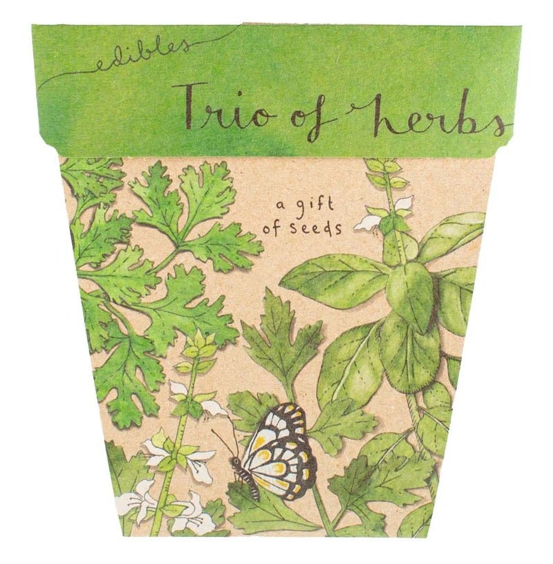 Gift of Seeds Card - Trio of Herbs | Sow 'n Sow | Cards/Gift Wrap | Thirty 16 Williamstown