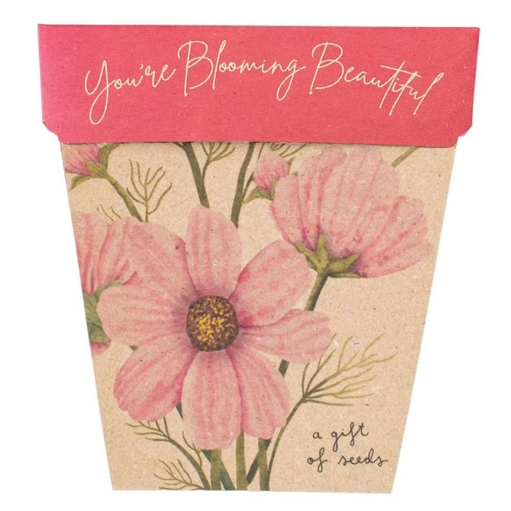 Gift of Seeds Card - 'You're Blooming Beautiful' | Sow 'n Sow | Cards/Gift Wrap | Thirty 16 Williamstown