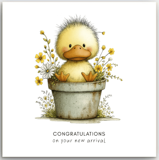 Greeting Card - Baby Duck | Basically Paper | Greeting Cards | Thirty 16 Williamstown