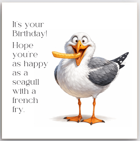 Greeting Card - Birthday Seagull | Basically Paper | Greeting Cards | Thirty 16 Williamstown