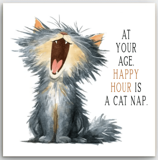 Greeting Card - Cat Nap Birthday | Basically Paper | Greeting Cards | Thirty 16 Williamstown