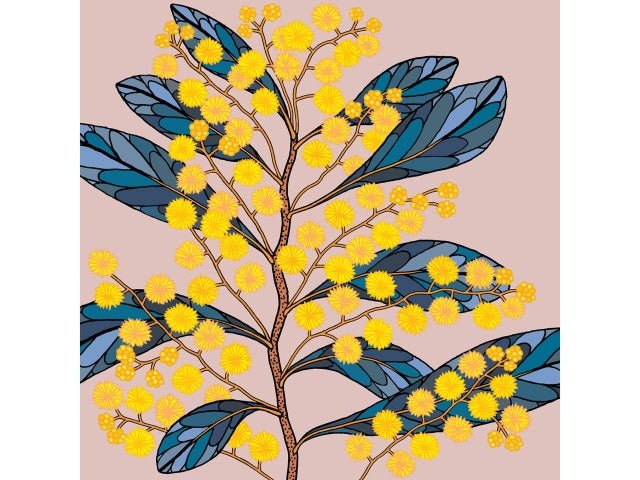 Greeting Card - Golden Wattle | Lorraine Brownlee Designs | Greeting Cards | Thirty 16 Williamstown
