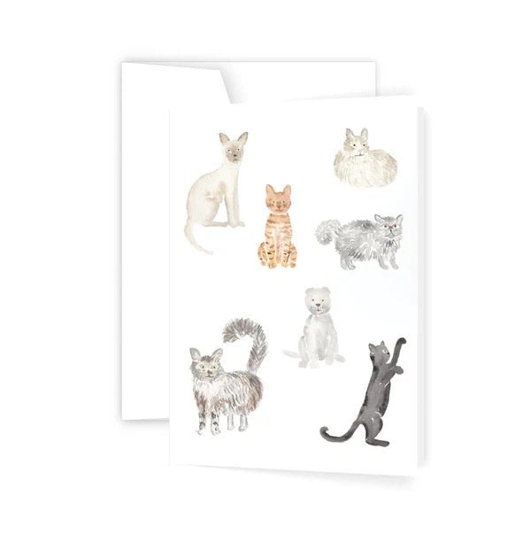 Greeting Card - Kitties | Ellen Walsh Designs | Greeting Cards | Thirty 16 Williamstown