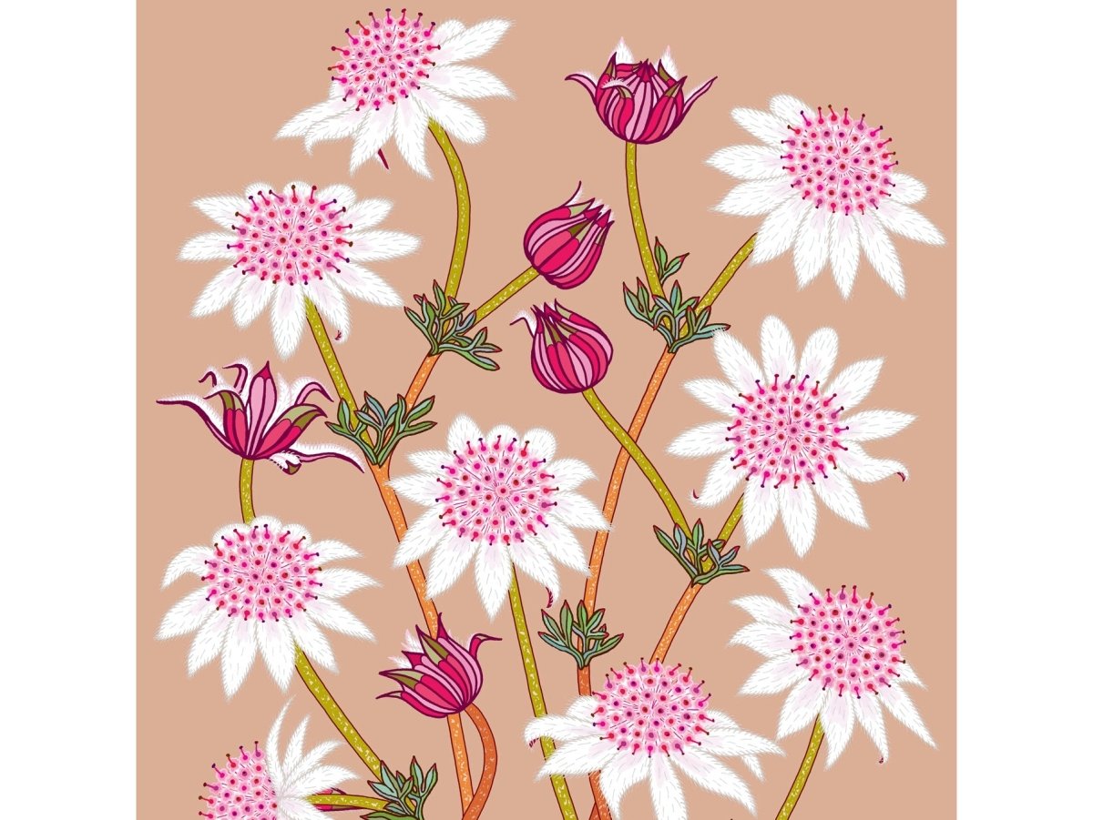 Greeting Card - Pink Flannel Flowers on Peach | Lorraine Brownlee Designs | Greeting Cards | Thirty 16 Williamstown