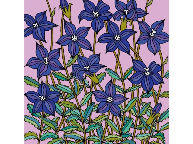 Greeting Card - Royal Bluebells | Lorraine Brownlee Designs | Greeting Cards | Thirty 16 Williamstown