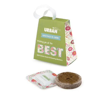 Greetings To Grow - Best (Zinnia) | Retro Kitchen | Home Garden | Thirty 16 Williamstown