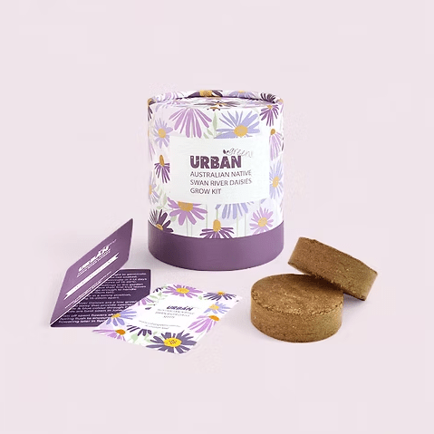 Grow Kit - Swan River Daisies Grow Kit | Urban Greens | Home Garden | Thirty 16 Williamstown