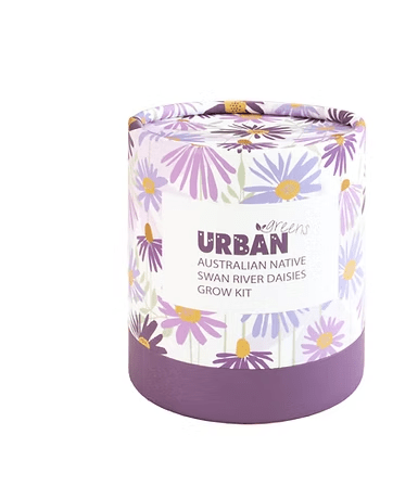 Grow Kit - Swan River Daisies Grow Kit | Urban Greens | Home Garden | Thirty 16 Williamstown